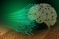 دانه‌های شن در مغز