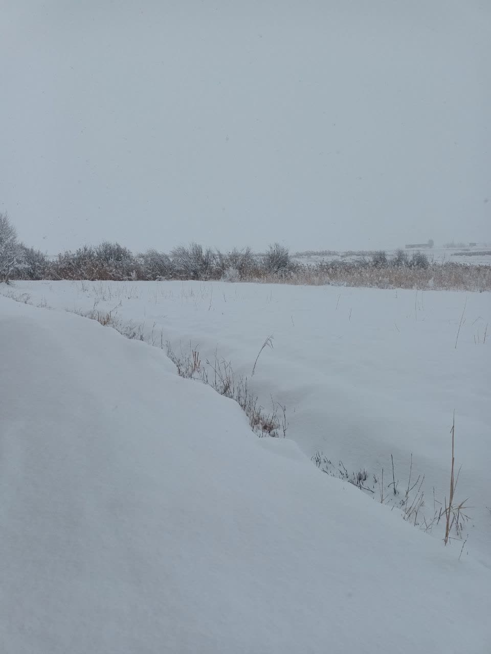 جدیدترین اخبار از وضعیت راه‌های کشور/ رخت سپید بر تن ۱۶ استان/ ترافیک سنگین در آزادراه کرج ـ قزوین