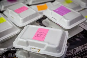 زنان ایران، پای کار مقاومت