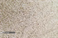 قرص ضد شپشه برنج و حبوبات؛ جایگزینی مناسب برای یک ترکیب سمی
