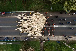 تصویر هوایی از کوه&zwnj;نوردان با گوسفندانشان در لودژمیرز، لهستان