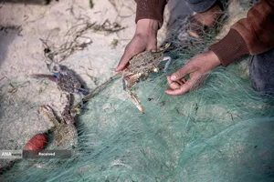 هشدار جهانی درباره قحطی در غزه