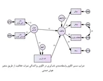الگوی ساختاری خلاقیت بر اساس هوش ضمنی با میانجی‌گری تاب‌آوری دانش‌آموزان