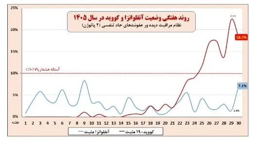 نظام دیده وری