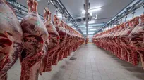 نیازی به استفاده از ذخایر استراتژیک گوشت نیست
