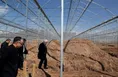 بازدید دکر طهرانچی از گلخانه