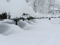 وقوع کولاک مقطعی و مه‌گرفتگی در جاده‌های کوهستانی زنجان