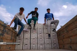 توانمندی اقتصادی برای رفع محرومیت - باغ گلابی