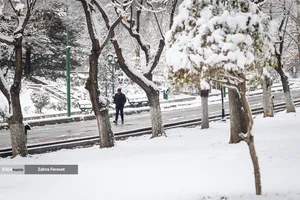 بارش برف زمستانی در تهران 