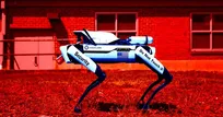 Robot dogs could soon replace security guards