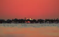 تلنگری جامعه‌شناختی به بحران آب