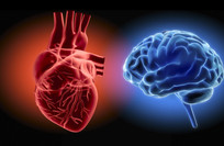 Study links heart health to early Alzheimer&rsquo;s risk