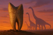 رد پای تاریخ در مینای دندان دایناسورها