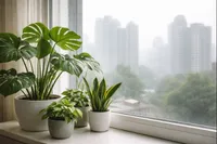 نقش واقعی گیاهان آپارتمانی در کاهش آلاینده‌های هوای خانه‌