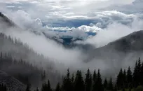 رئیس جمهور به داد جنگل ابر برسد