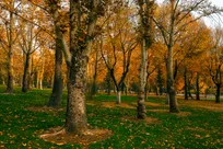 پایان پاییز و شروع زمستان