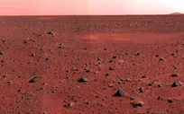 this-common-organism-could-survive-on-mars