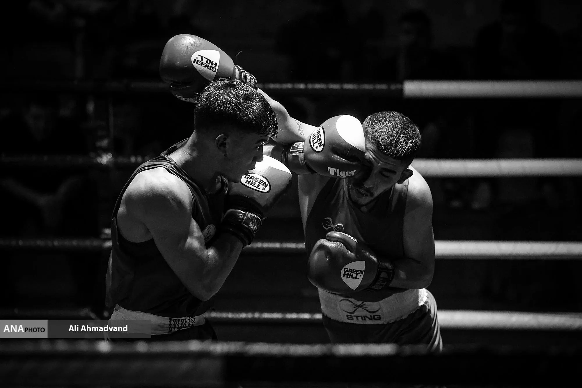 قوانین اردو برای همه یکسان است/ باتوجه به بازی های ناگویا، با تمام توان در قهرمانی آسیا شرکت می کنیم