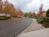 تصاویر| حال و هوا و طبیعت پاییزی دانشگاه آزاد بروجرد در یک صبح بارانی