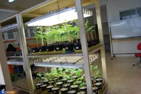 حمایت از فناوری‌های نوین کشاورزی و صنعت چینی و سفال