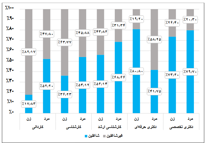 کدام رشته و کدام استان بیشترین بازار کار را برای فارغ‌التحصیلان دارند؟