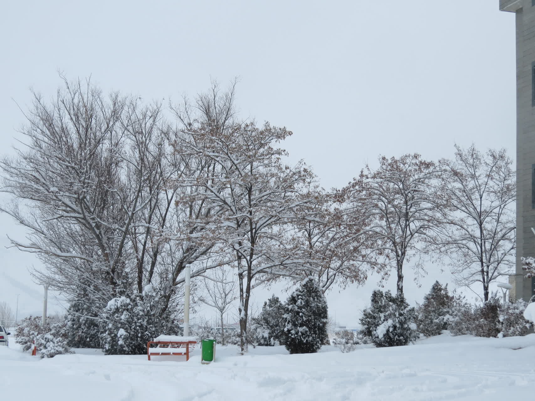 بارش برف زمستانی در واحد بین الملل ماکو؛ کوه آرارات در پوشش سپید