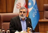 طهران تندد بمنع واشنطن رئيس منظمة الطاقة الذرية من حضور مؤتمر الوكالة