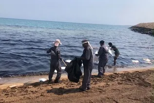 مهار آلودگی نفتی در سواحل قشم و هنگام در حال تکمیل است