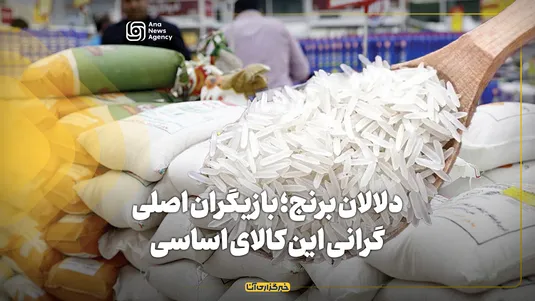 دلالان برنج؛ بازیگران اصلی گرانی این کالای اساسی