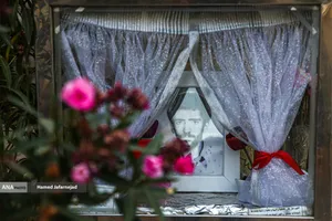 قاب های ماندگار شهدا