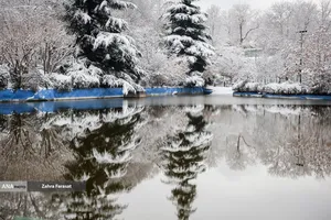 بارش برف زمستانی در تهران 