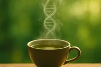 چای سبز متابولیسم بدن را بازنویسی می‌کند