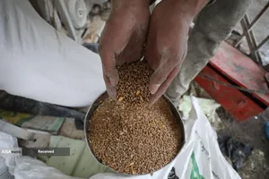 هشدار جهانی درباره قحطی در غزه