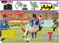 روزنامه های ورزشی