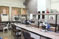 تولید دانش‌بنیان ۶ ماده اولیه در حوزه مهندسی بافت