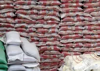 قیمت برنج وارداتی در بازار ۴۰ درصد کمتر از قیمت بازار محلی است