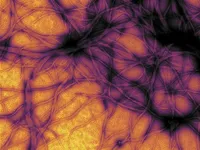 نگاهی دوباره به ذرات مرموز پس از گذشت ۳ دهه از نوبل برای کشف پریون‌ها