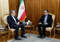 دیدار سفیر و نماینده دائم ایران نزد سازمان همکاری اسلامی با عراقچی