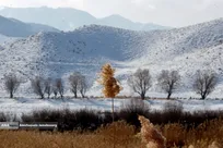 مناظر برفی فیروزکوه