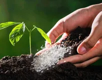 Biodegradable Hydro gels Offer Promising Solution for Agricultural Water Management