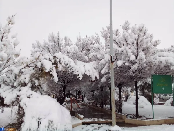 دانشگاه آزاد اسلامی واحد قم در یک روز برفی