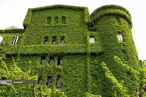 نمای بیرونی یک ساختمان پوشیده از پیچک بوستون در شانگهای، چین