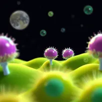 چگونه سلول‌ها بدون دستور خود را بازسازی می‌کنند؟