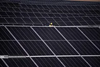 مشارکت شرکت‌های دانش بنیان در تسریع در فرایند توسعه نیروگاه‌های تجدیدپذیر