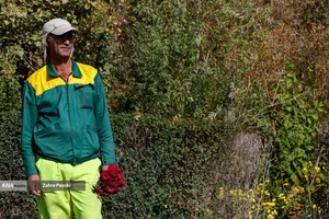 گل های داوودی