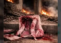 نوسروده محمدرضا وحیدزاده به مناسبت روز دختر/لالا لالا گل زیبا، کجایی دختر بابا؟