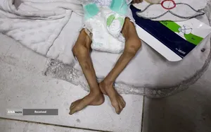 شهرک نشینان صهیونیست مسیر کامیون&zwnj;های حامل آرد به نوار غزه را بستند