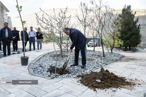 کاشت نهال امید