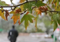 کاهش محسوس دما و بارش باران در شمال کشور/ هشدار گردوخاک در شرق و جنوب شرق ایران