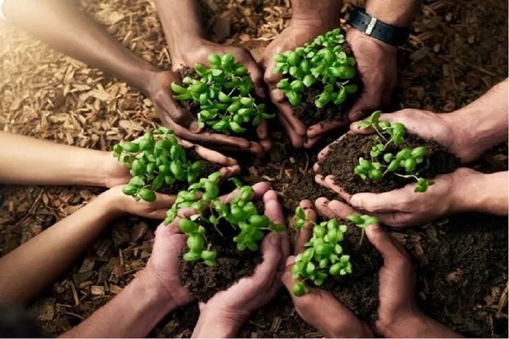 Three major threats to global food security
